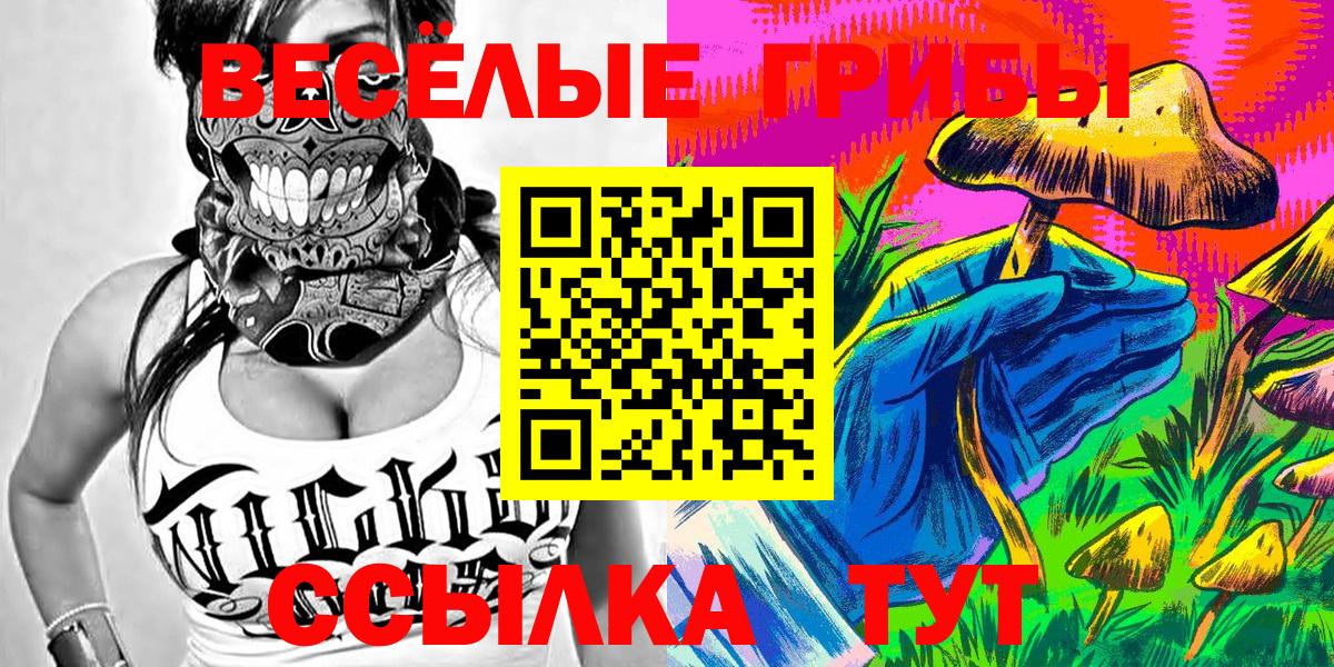 Псилоцибиновые грибы мицелий Кузнецк
